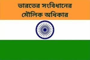 ভারতের সংবিধানের মৌলিক অধিকার