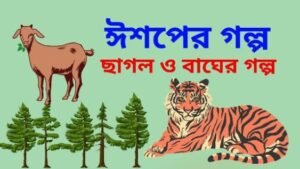 ঈশপের গল্প- ছাগল ও বাঘের গল্প