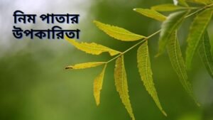 নিম পাতার উপকারিতা
