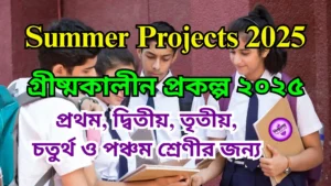 Summer Projects 2025