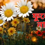 ফুলের নাম