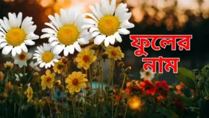 ফুলের নাম