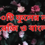 ১০০টি ফুলের নাম ইংরেজি ও বাংলায়