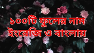 ১০০টি ফুলের নাম ইংরেজি ও বাংলায়