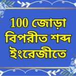 100 জোড়া বিপরীত শব্দ ইংরেজীতে